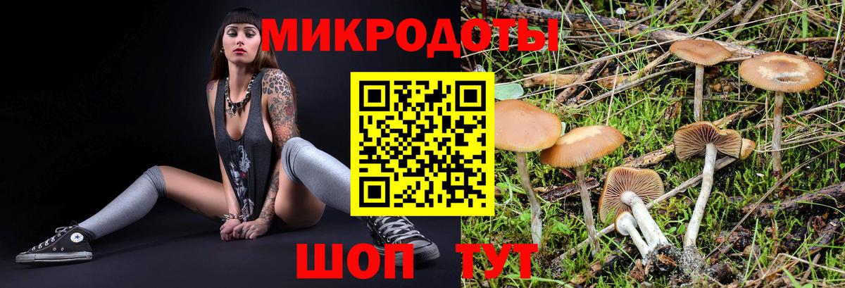 Галлюциногенные грибы мицелий Каменка